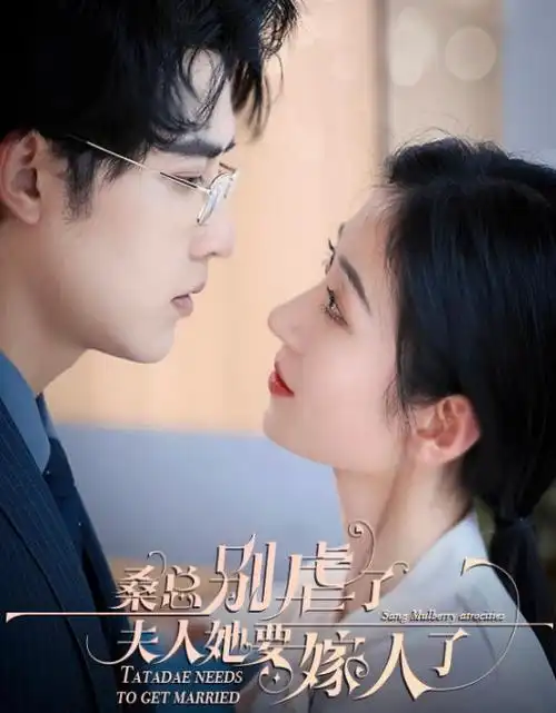 暗河 电视剧全集免费观看